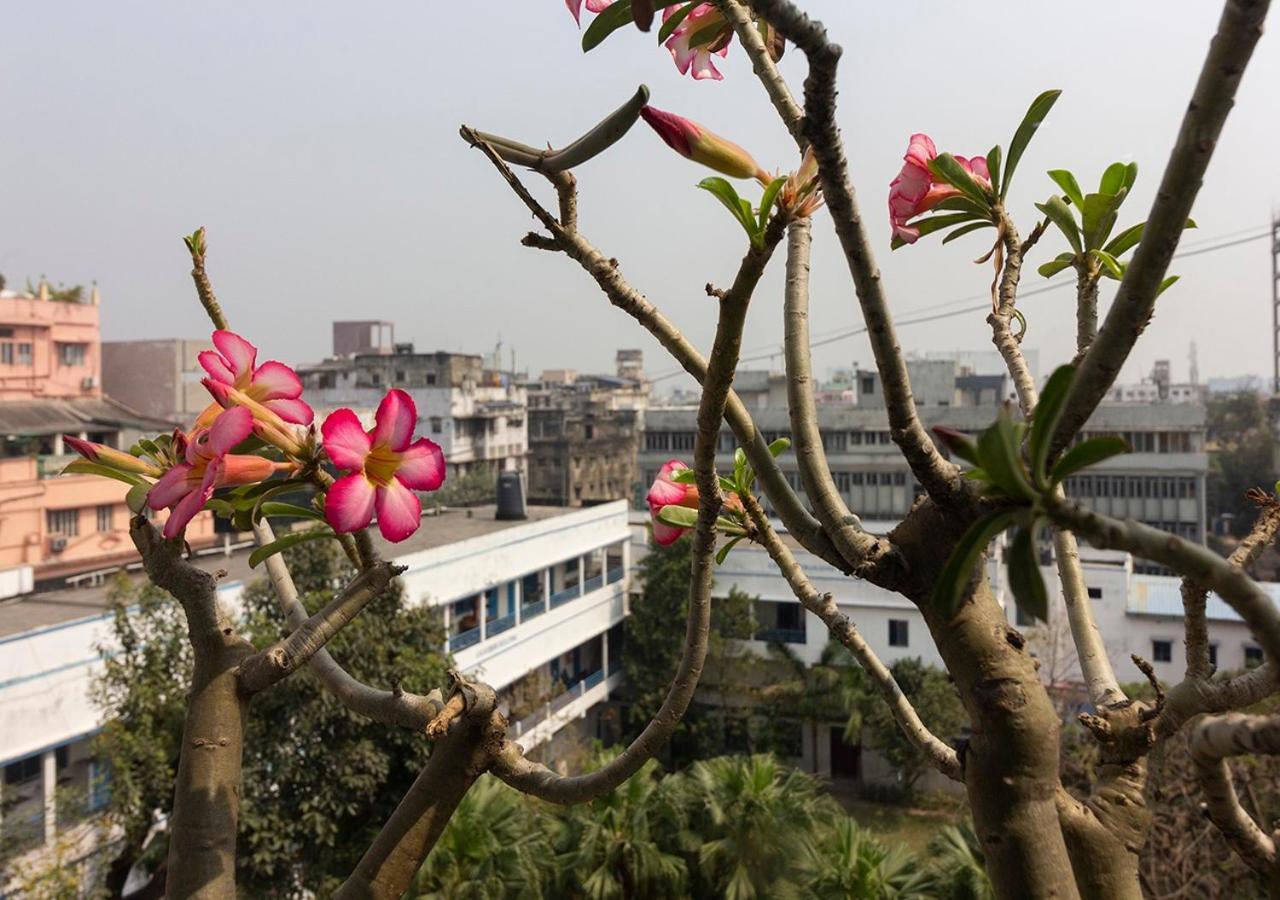 Neelam Bed & Breakfast Calcutta Extérieur photo